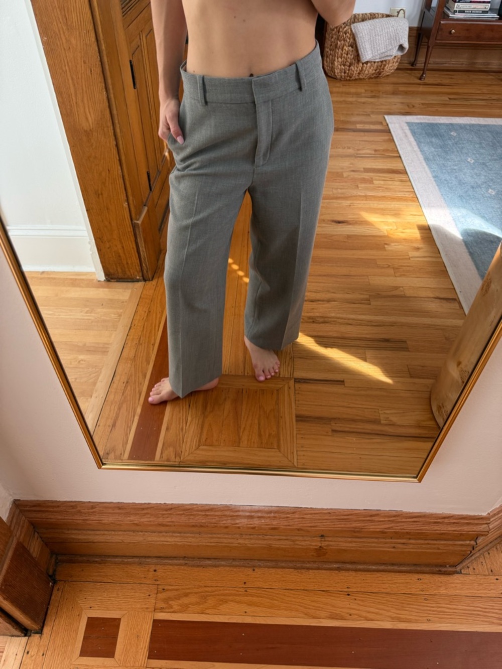 Aritzia Babaton cropped Trouser